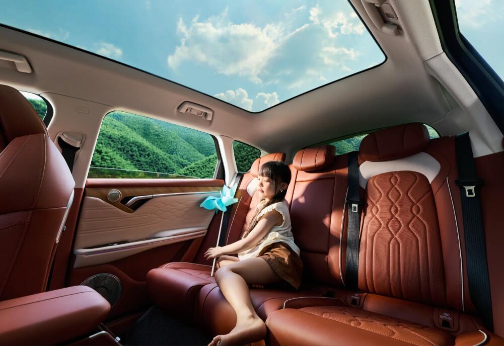 图片提供/岚图 卢放