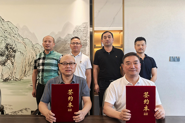 赛德丽,新能源,正极材料