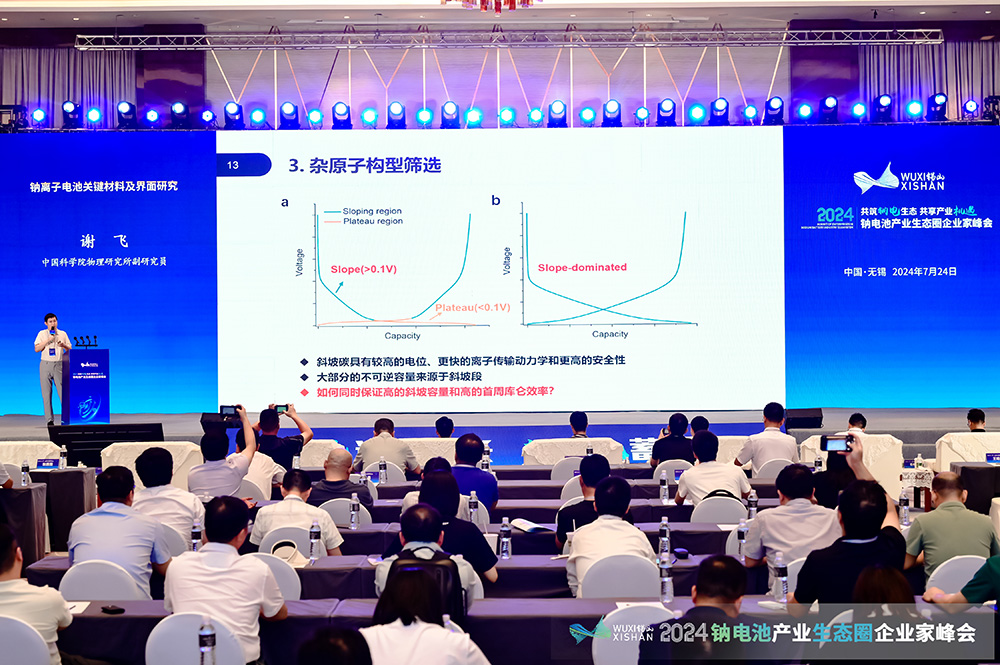 2024中国（无锡）钠电池产业生态圈企业家峰会现场