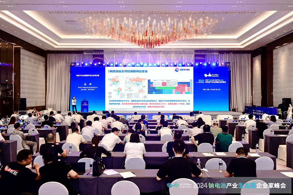 2024中国（无锡）钠电池产业生态圈企业家峰会现场