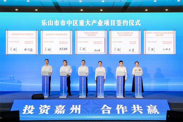 钒电池,储能,伟力得