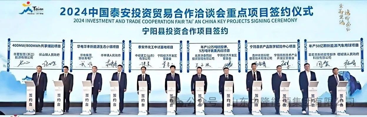 电化学储能,储能,磷酸铁锂 电化学储能,储能,磷酸铁锂