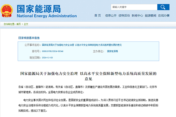 《关于加强电力安全治理 以高水平安全保障新型电力系统高质量发展的意见》