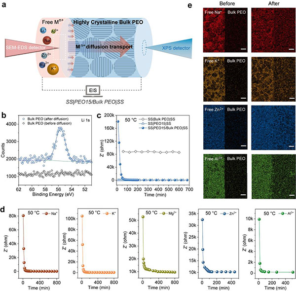 图1. 高结晶PEO块体中的离子自适应扩散现象 图片来源：中国科学院金属研究所