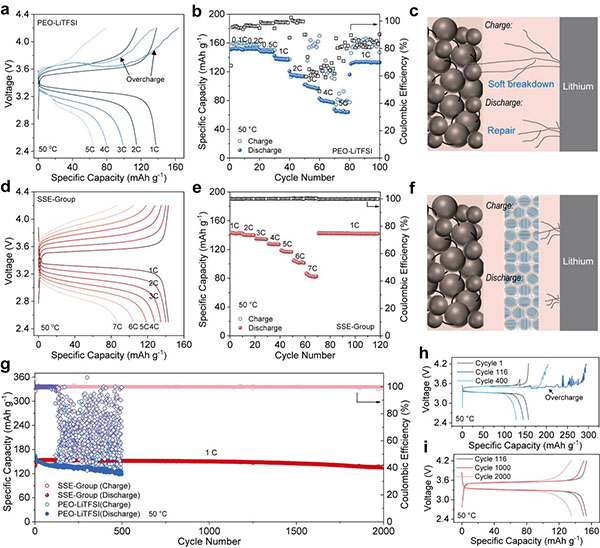 图2. 固态电池性能