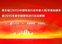 第五届（2015年）中国电池行业十大年度人物
