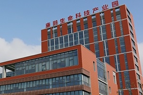 康鹏科技二次闯关科创板获受理 拟募资10亿扩产LiFSI