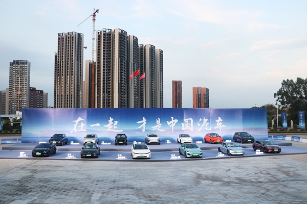 百花齐放春满园 王传福：中国汽车必将诞生一批世界级品牌