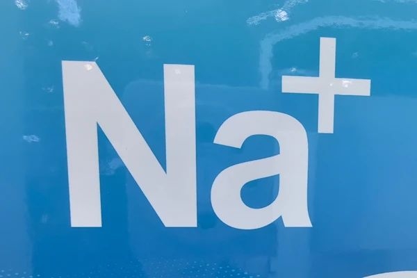 20亿元！17条产线！莫钠技术内蒙古钠电池产业项目备案通过