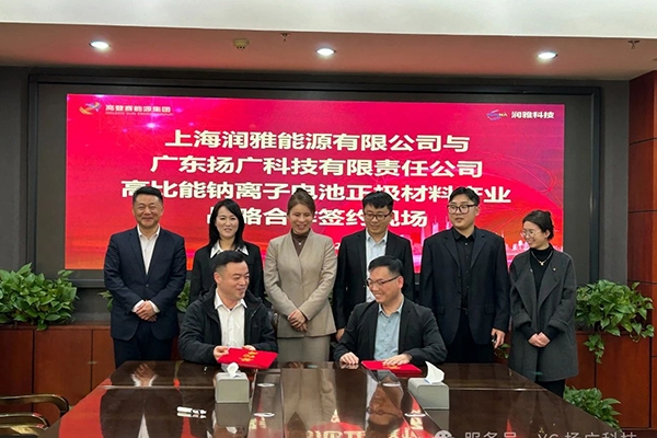 10亿元！年产6万吨！这一钠离子电池正极材料项目签约