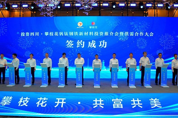 10亿元！这一短流程制备钒电解液项目落地四川攀枝花