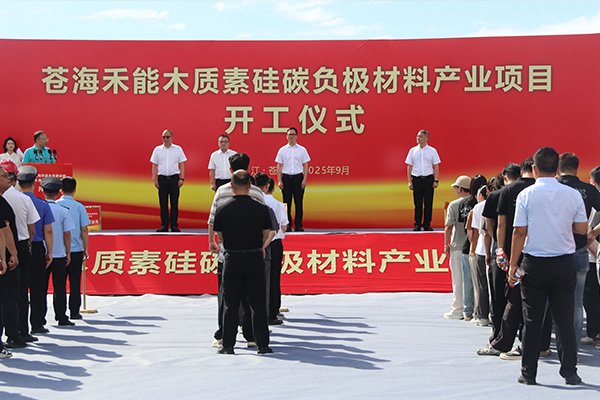 总投资达2亿！浙江温州这一硅碳负极材料产业项目开工