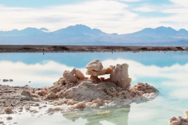 储能定价较低 一季度美国雅保净销售额降至14亿美元