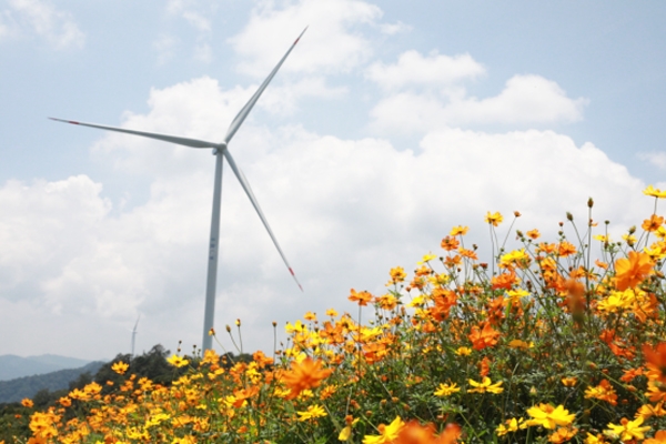 注册资本1亿元！中广核风电等投资成立新能源公司