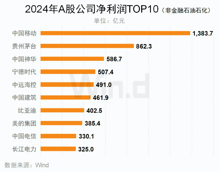 2024年A股归母净利润TOP10（非金融石油石化）公司