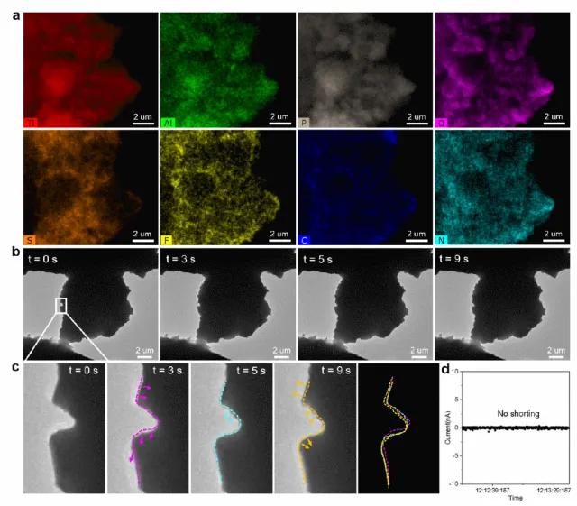 图4. 有机—无机复合固态电解质中的稳定锂离子传输