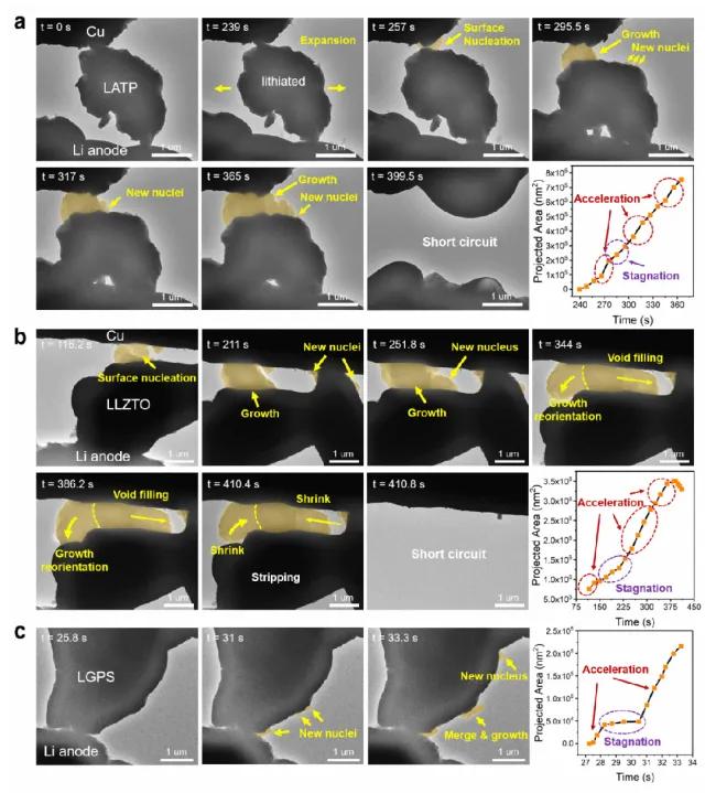 图2. 锂金属析出—电解质短路动力学的原位电镜观察