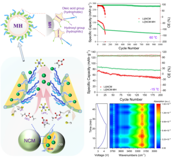烷基链摇曳机理示意及电池长循环性能对比 图片来源：中国科学院青海盐湖研究所