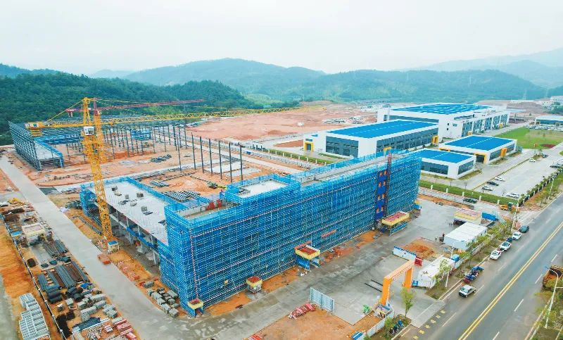 图/龙岩市融媒体中心