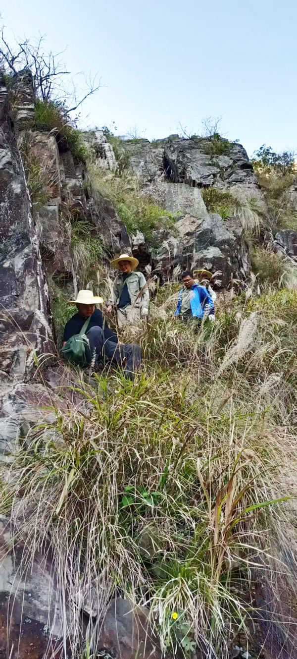 鸡脚山矿区工作现场 图片来源：湖南日报