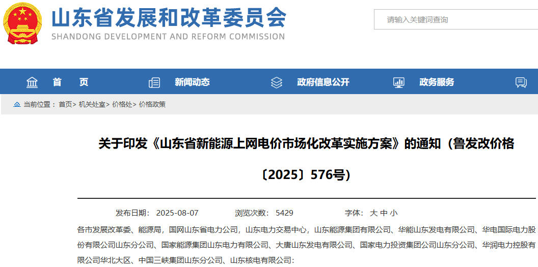 山东：推动新能源上网电价全部由市场形成