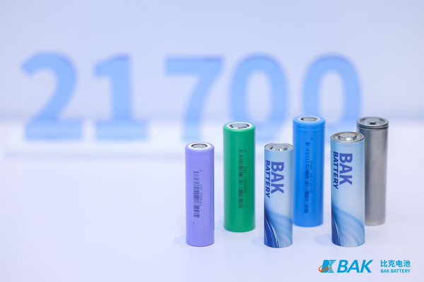 14亿级出行刚需爆发！锂电企业如何“读懂”印度？