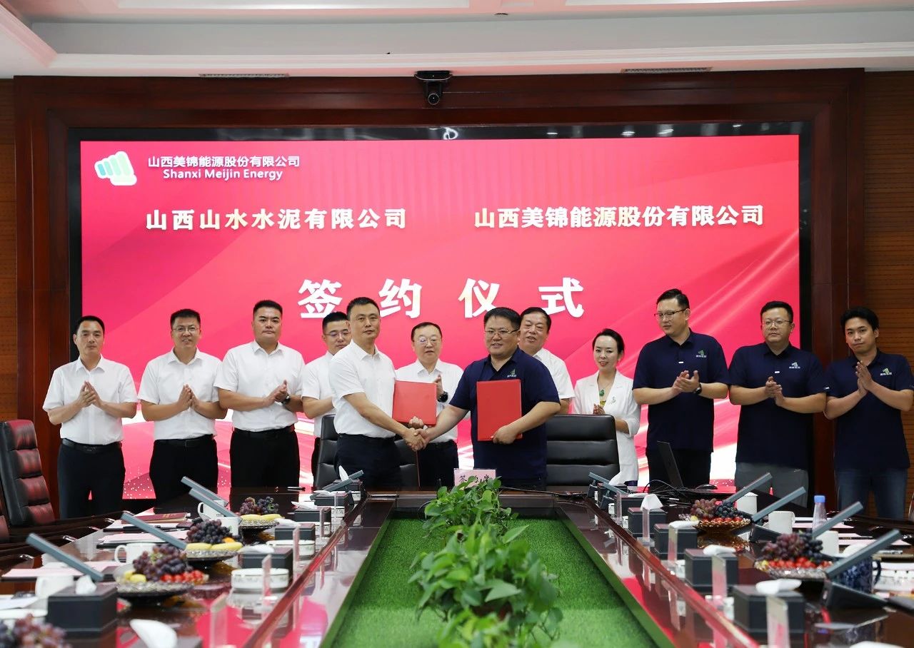 图片来源：山东山水集团