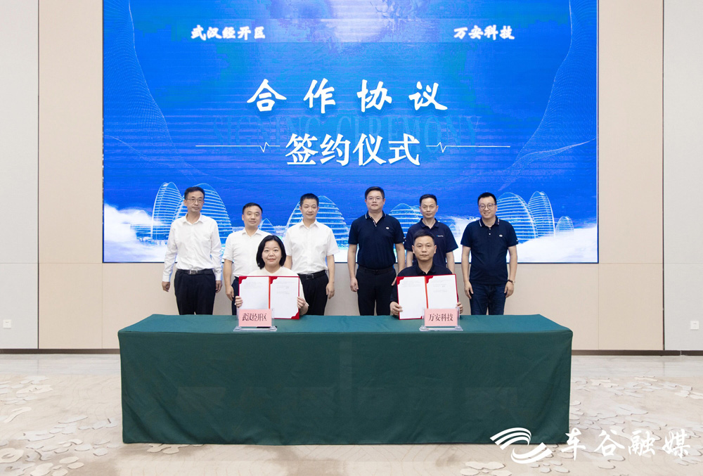 图片来源：武汉经开区