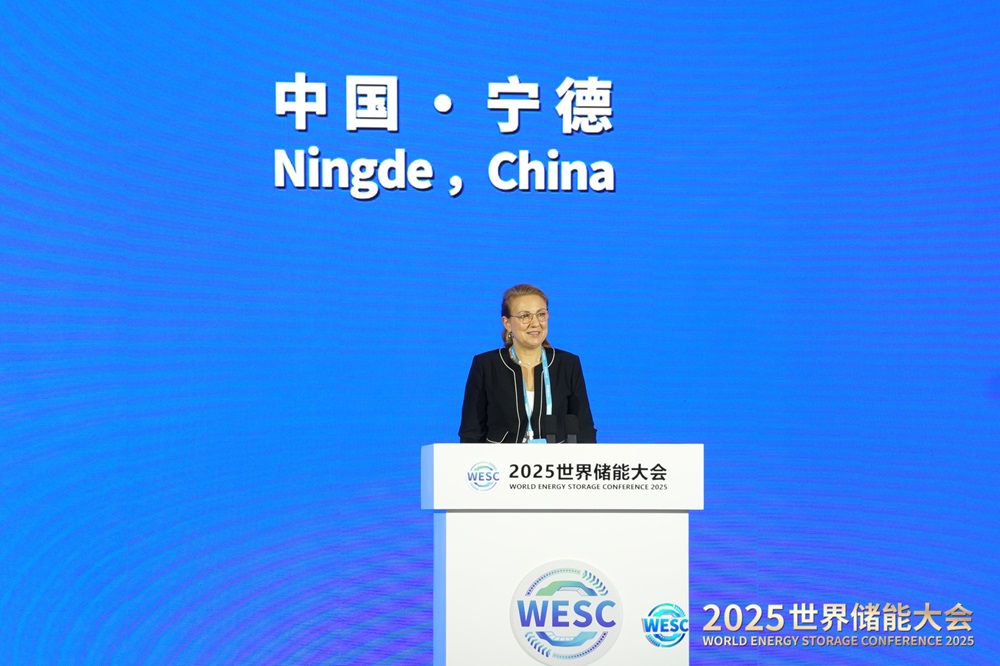 国际可再生能源署发布全球首份储能专题报告完整版 宁德时代深度参与