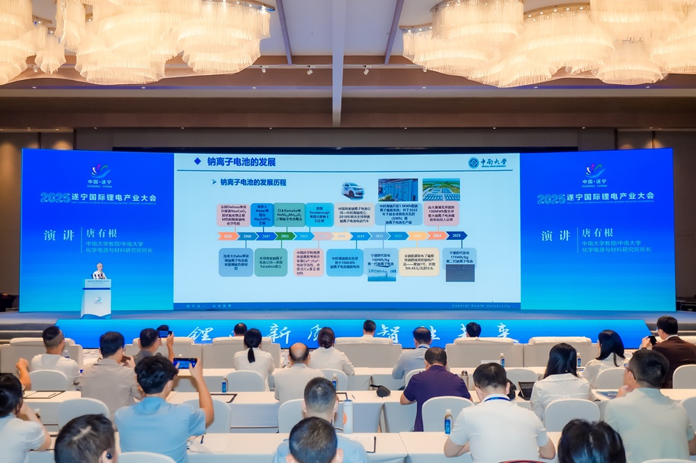 2025遂宁国际锂电产业大会现场