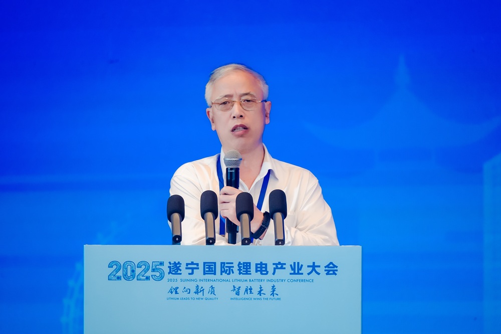 中南大学化学电源与材料研究所所长/教授唐有根