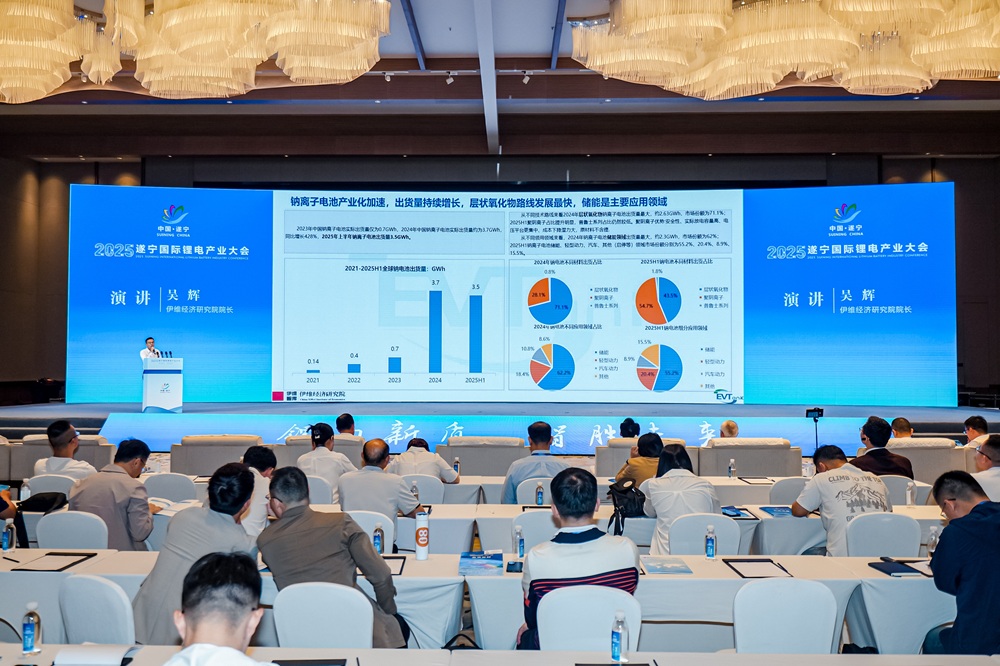 2025遂宁国际锂电产业大会现场