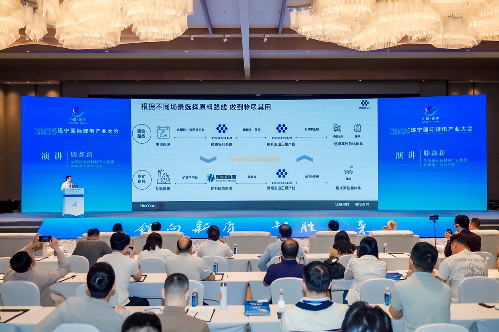 2025遂宁国际锂电产业大会现场