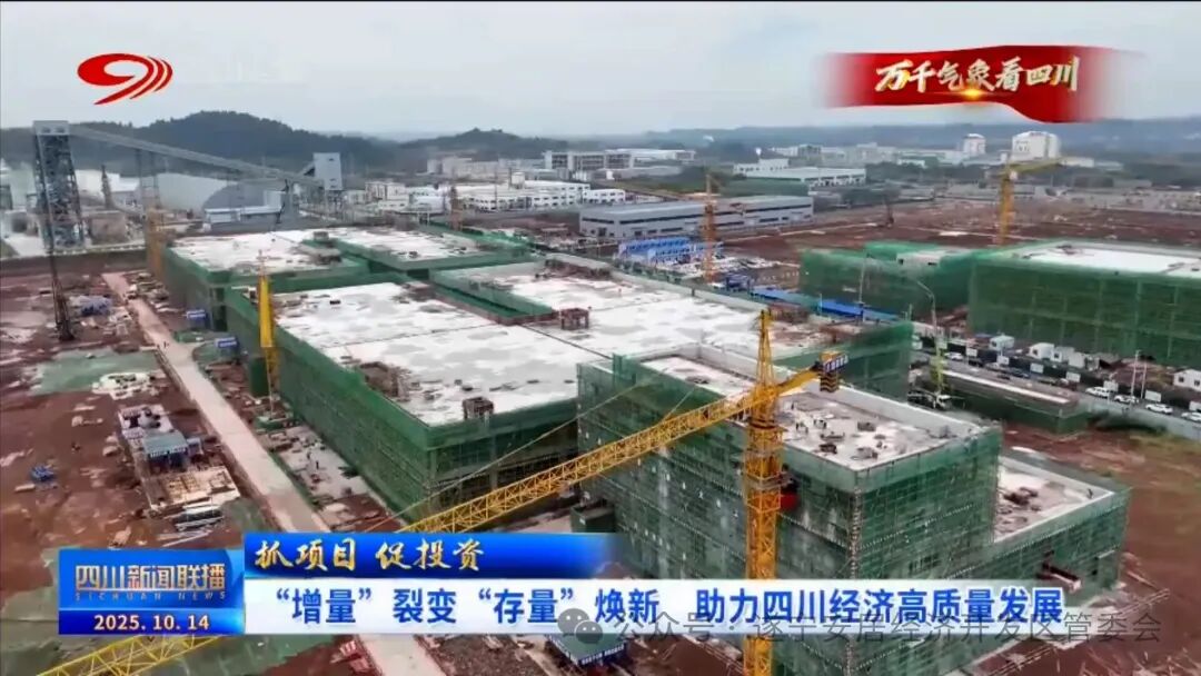 60亿元！四川遂宁一锂电池生产项目将于今年年底投产