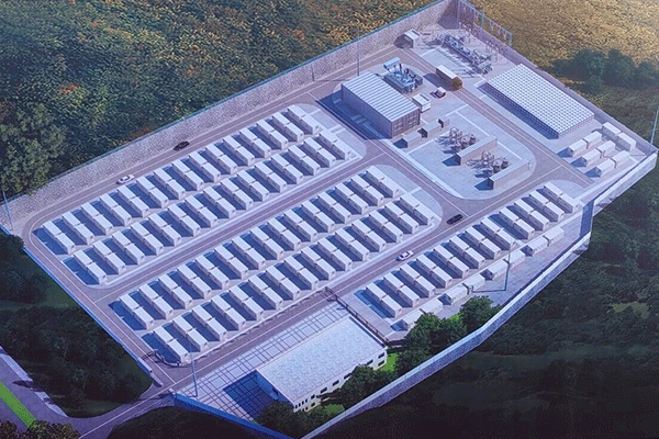 图片来源：隆阳发布