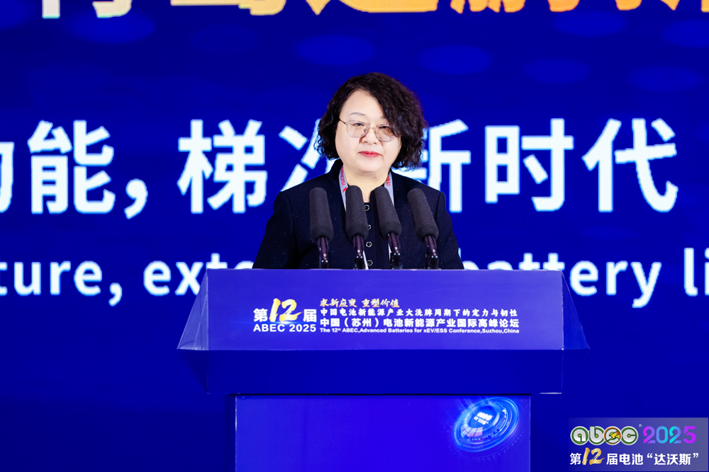 同方鼎欣科技股份有限公司舆情及数据应用负责人翟嘉