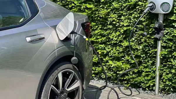 图/Intramco 图/Intramco