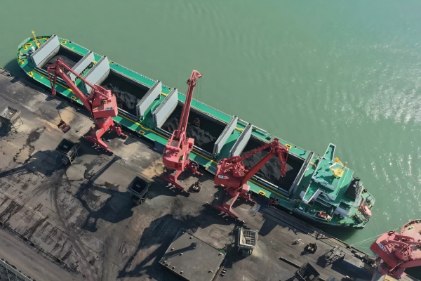 图片来源：洋浦政务