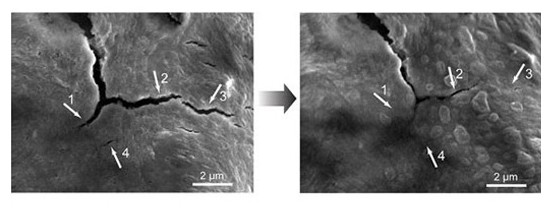 自我修复电池或将用于电动汽车 先进技术助力环保