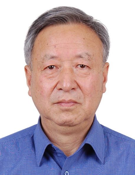 国家863重大科技项目专家组 王秉刚 