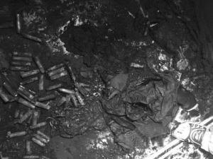 电动车电池充电中爆炸 书房着火被烧