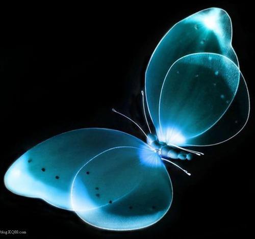 “蝴蝶效应”显现：特斯拉风暴引发投资连环效应