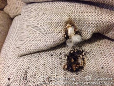 网友微博曝小米移动电源半夜自燃 灭火及时