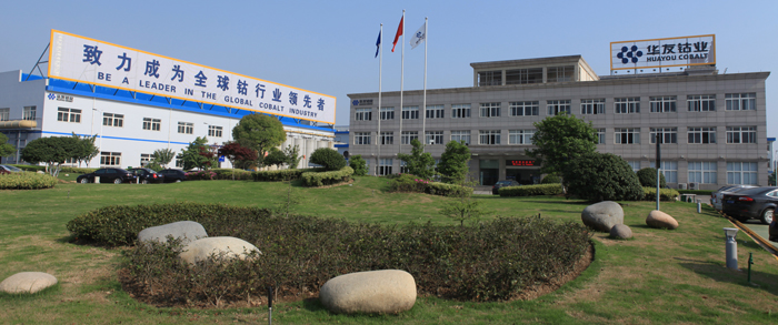 华友钴业拟在上交所上市 保荐机构为中信证券