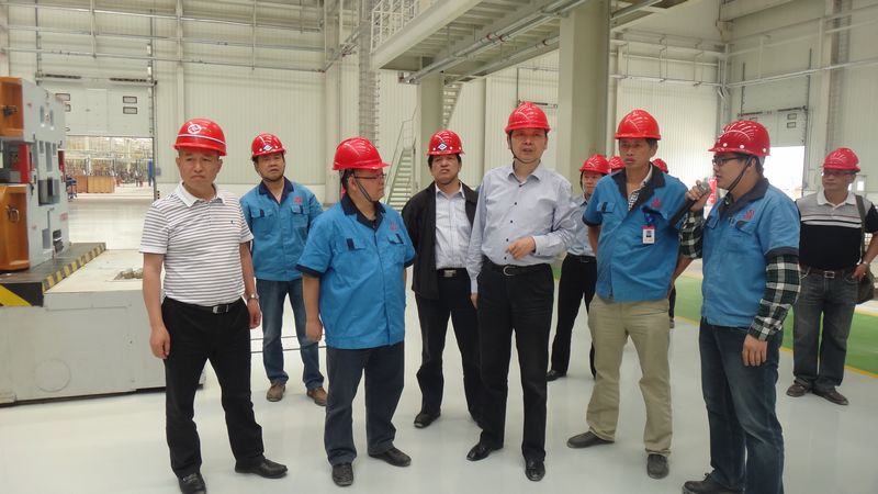 四川经信委主任王海林调研绵阳新能源车项目情况