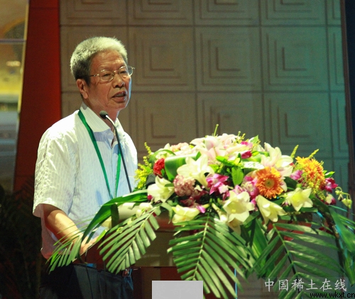 图为中科院院士衣宝廉在稀土论坛上演讲