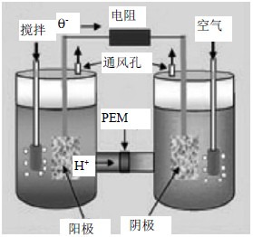 日本用天然酶作催化剂提高燃料电池发电能力