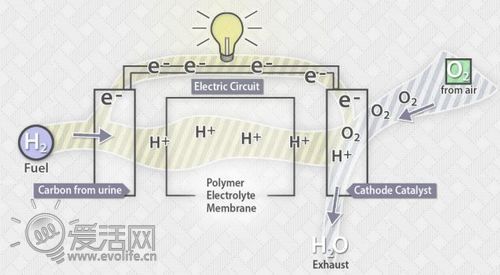 没油请撒尿 科学家发明尿液为燃料的混合动力车