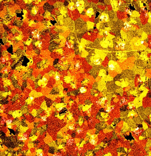 石墨烯的时代还没有到来 一切都是在炒作