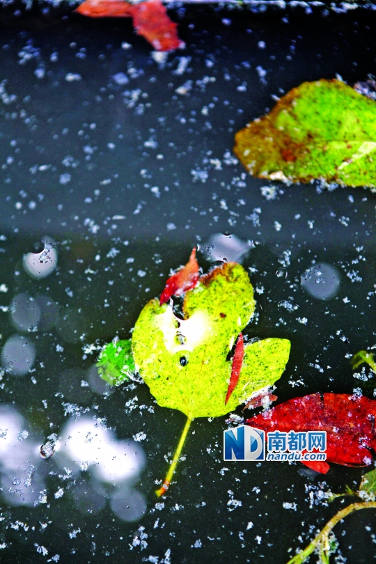 空巢小村血铅疑云：附近无工厂无矿产 污染源成谜